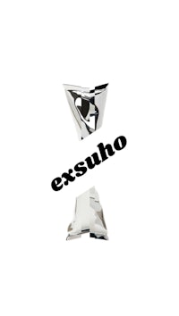 the logo for exsuho is shown on a white background